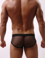 Men’s Hot Mesh Briefs – 2pack by My Secret Drawer® mysecretdrawer.co 27