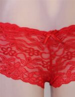 Floral Lace High Waist Sexy Panty by My Secret Drawer® mysecretdrawer.co 75