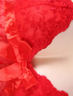 Red Sexy Draping Mesh and Lace Babydoll Set by My Secret Drawer® mysecretdrawer.co 32